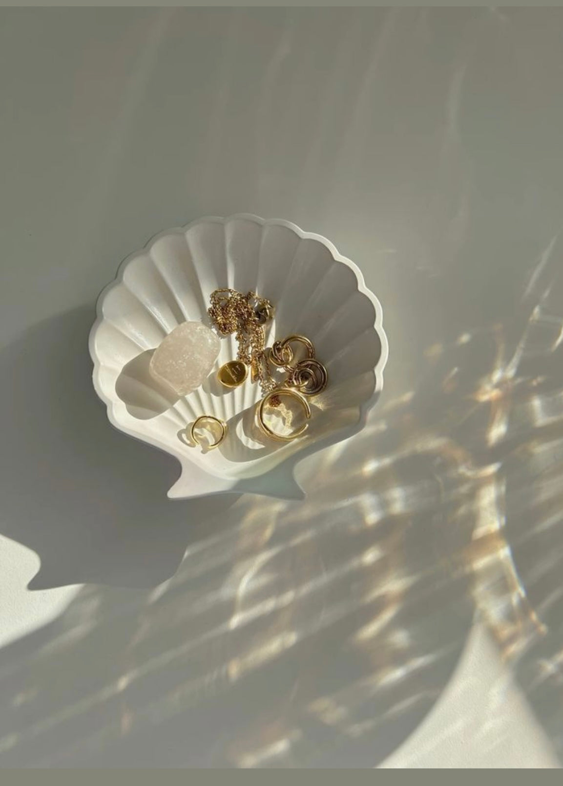 Anillos
