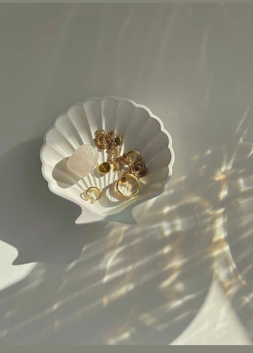Anillos