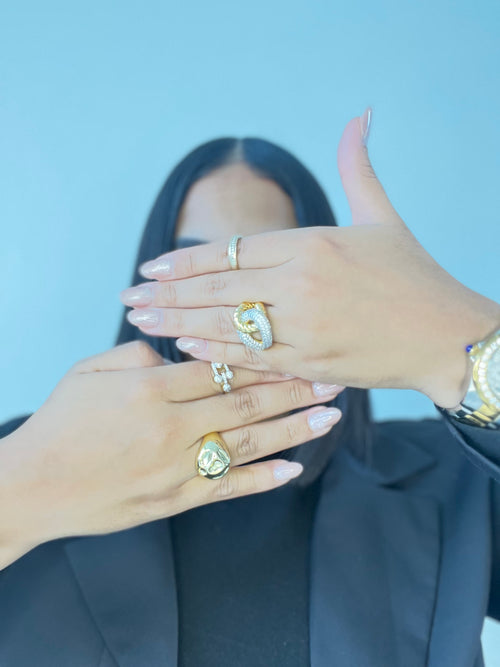 Anillos